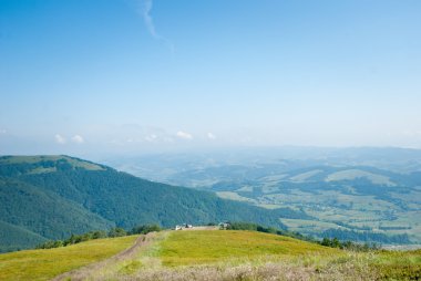 kolza tohumu güzel bulut ile alan