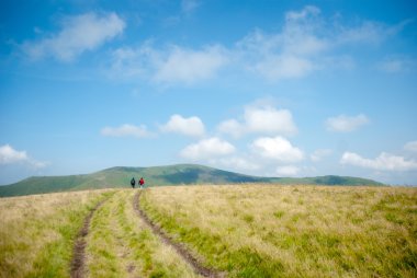 kolza tohumu güzel bulut ile alan