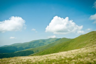 kolza tohumu güzel bulut ile alan