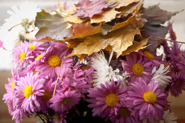 Farbige Herbstblätter — Stockfoto