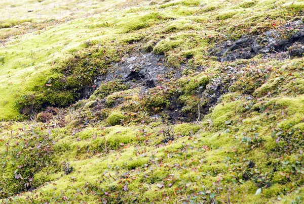 İzlanda - den geçerek wild highlands