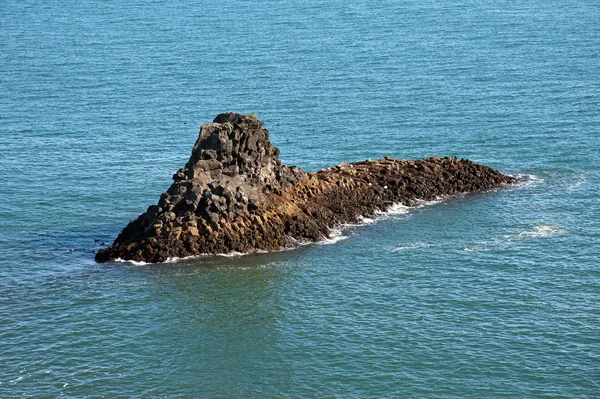 Island - západ - poloostrov sneifellsnes — Stock fotografie