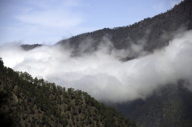 La palma 2013 - orta