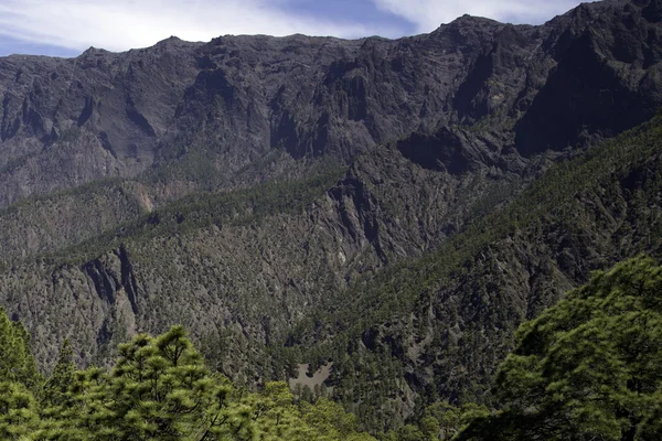 La Palma en 2013 - el medio — Foto de Stock