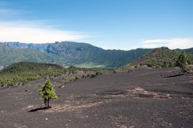 La Palma 2013 - dağ ve çöl manzarası