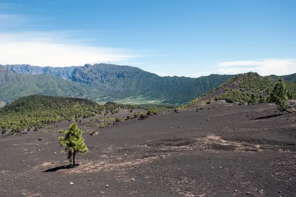 La Palma nel 2013 - scenario montano e desertico — Foto Stock