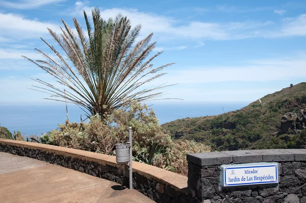 La Palma im Jahr 2013 - auf dem Mirador — Stockfoto