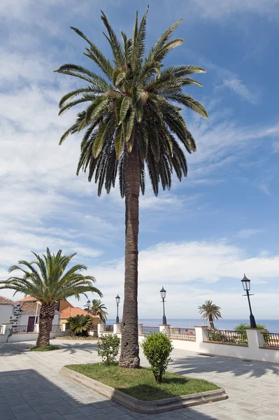 La Palma 2013 - San Andres — Stok fotoğraf