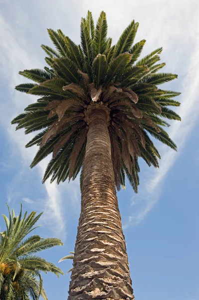 La Palma 2013 - San Andres — Stockfoto