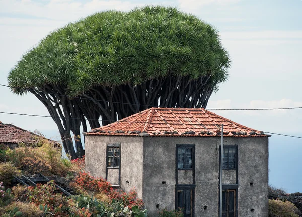 La palma 2013 - alter bauernhof — Stockfoto