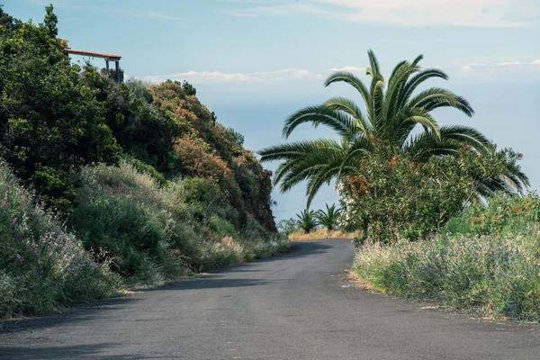 La palma 2013 - carretera de montaña — Foto de Stock