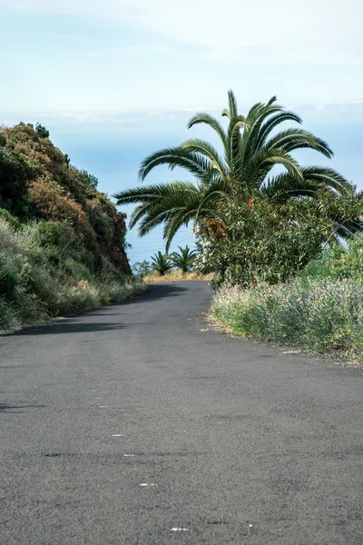 La palma 2013 - carretera de montaña — Foto de Stock