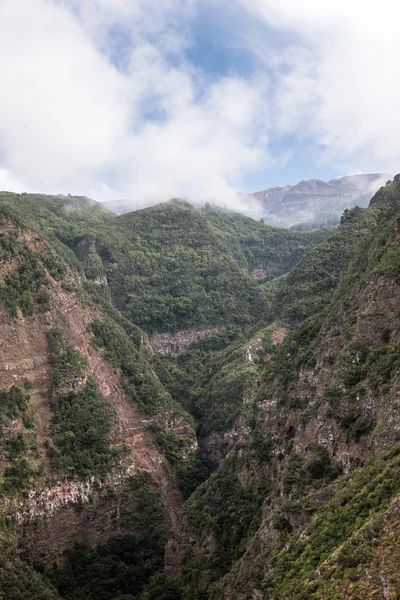 La Palma in 2013 - Canyon near Las Tricias — Stock Photo, Image