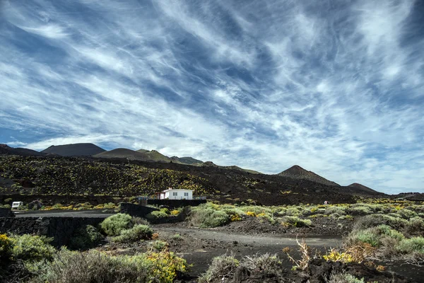 La palma 2013 年-南端 — 图库照片