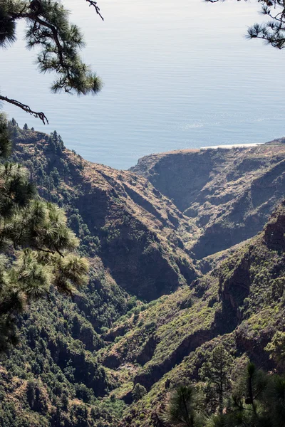La Palma 2013 -高地 — 图库照片