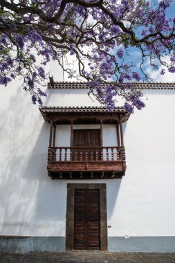 La Palma 2013 - Las Nieves