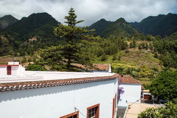 La palma 2013 - bergsutsikt las nieves — Stockfoto