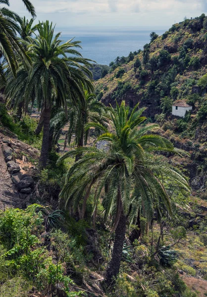 La Palma in 2013 - sea view from Las Nieves — Stock Photo, Image