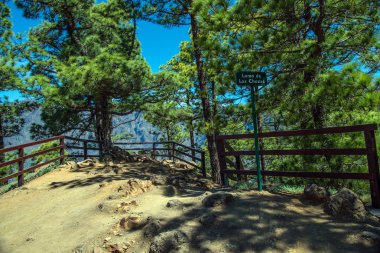 La palma 2013 - orta