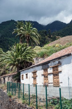 La palma 2013 - las nieves dağ görüş
