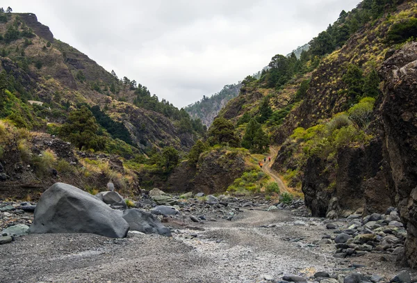 La Palma 2013 - Caldera de Taburiente — Foto de Stock