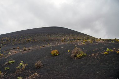 La Palma 2013 - Fuencaliente