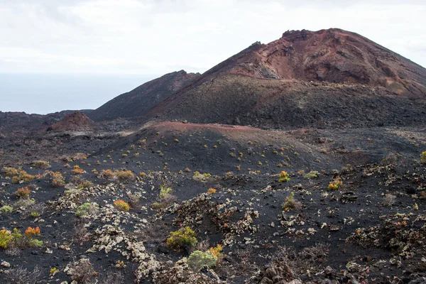 La Palma 2013 - Fuencaliente Stockfoto