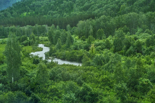 Paisaje de vacaciones. Montañas rusas de Altai. Región de Multa. — Foto de Stock