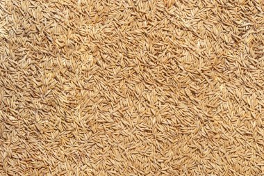 Yulaf ezmesi. Doğal organik pazar. Kapalı ekoloji. Tarım pulları görünümü