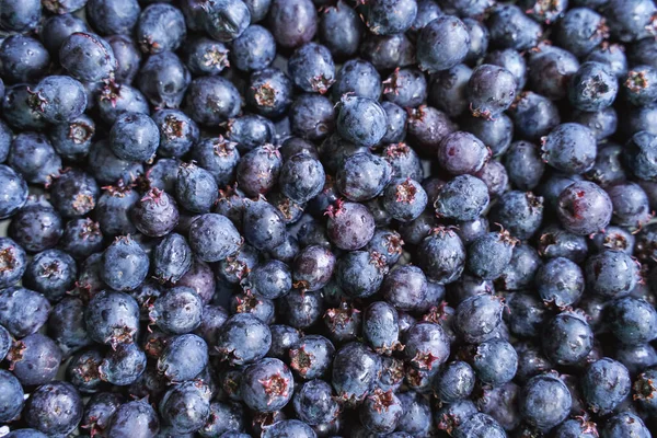 Jardin de baies violettes. Shadberry. Nature petit déjeuner ingrédient végétalien. Nourriture d'été — Photo