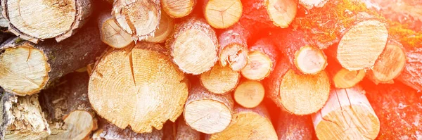 Estufa de leña. Fondo de textura de madera. Tienda de árboles. Pila de madera dura pila —  Fotos de Stock