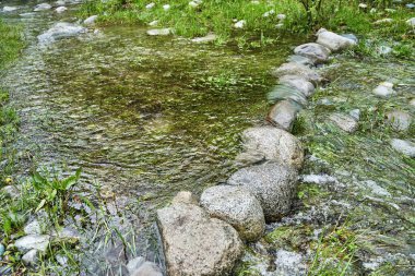 Tatil manzarası. Rus Altai dağları. Çoklu bölge. Tatil evde.