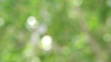 Renkli bir arka plan. Bulanık duvar kağıtları. Soyut yumuşak doku.