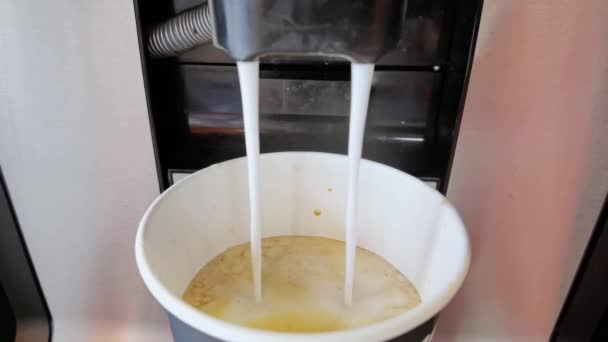 Βραστήρας καφετιέρα προετοιμασία latte. Το πρωινό ποτό χύνεται σε κούπα μιας χρήσης — Αρχείο Βίντεο