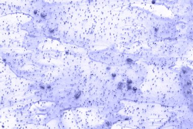 Yüz ovma dokusu. Cilt kremi kozmetik. Organik felç. Ayakları yağlı temizleyici