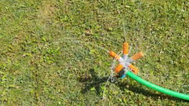 Yavaş video su fıskiyesi. Yeşil çimlerin üzerindeki sulama sistemi.