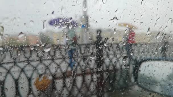 City rain. Inside car view. Autumn danger. Automobile travel. Bad weather. — Stock Video