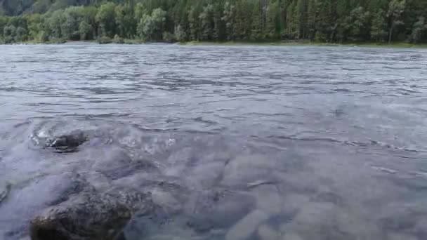 Rekreační krajina. Ruské Altai hory. Oblast Aya. Dovolená doma — Stock video