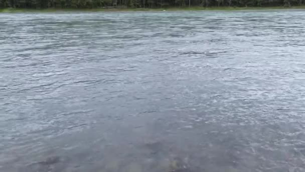 Rekreační krajina. Ruské Altai hory. Oblast Aya. Dovolená doma — Stock video