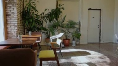 Istro Sun 'ın iç kısmı. Yavaş video oynatılıyor. Kapalı otel tasarımı. Yeşil bitkiler 
