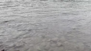 Tatil manzarası. Rus Altai dağları. Aya bölgesi. Tatil evde.