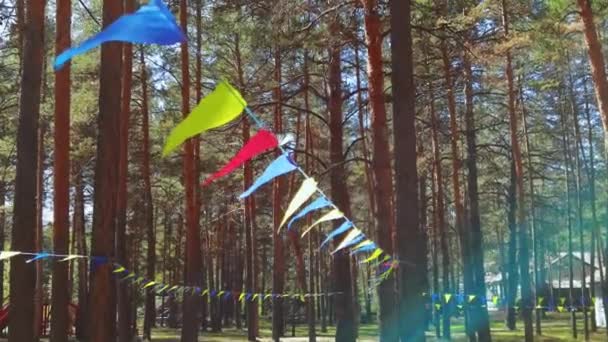 Joyeuses fêtes drapeaux triangulaires. Célébrez la décoration anniversaire soufflant sur le vent — Video