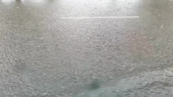 都市の雨。大きな水たまりだ。外の景色。秋の危険。自動車湿式旅行 — ストック動画
