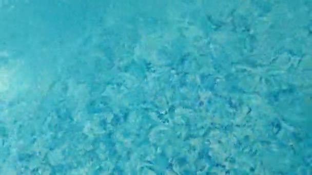 Kapka vody v bazénu. Modrá barva. Zastavit video. H2O hotel relax — Stock video