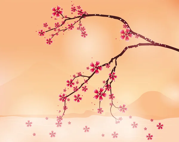 Background with cherry blossom — Stock Vector