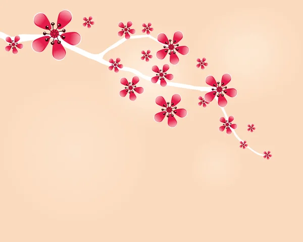 Rama de cereza japonesa — Vector de stock