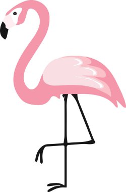 Beyaz arkaplanda yanma izole edildi