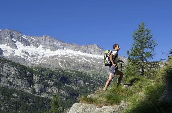 Trekking nos Alpes — Fotografia de Stock