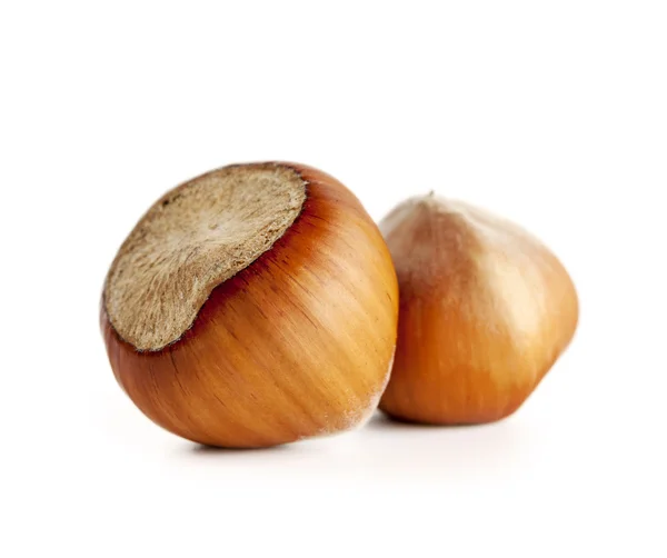 Hazelnuts white background — Stock Photo, Image