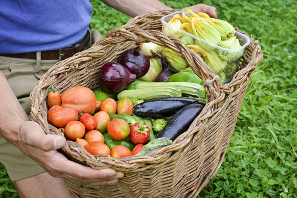 Cesta de verduras ecológicas — Foto de Stock